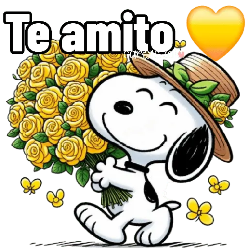 Te amito