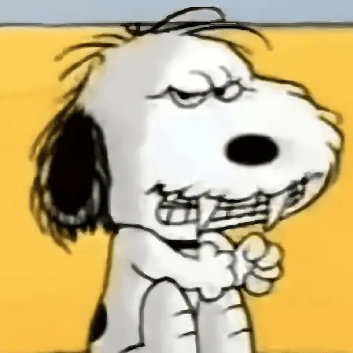 🦴🏠 SNOOPY 4 🏠🦴 18