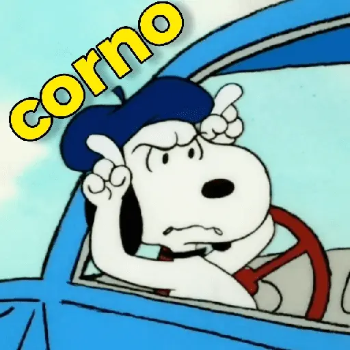 Memes do Snoopy 19