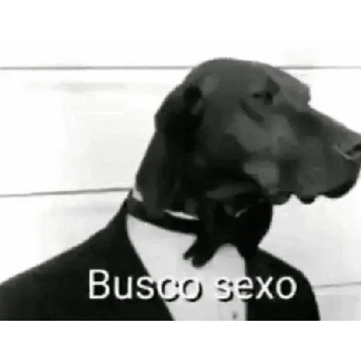 Meme. | @ocenferios Haki. 8