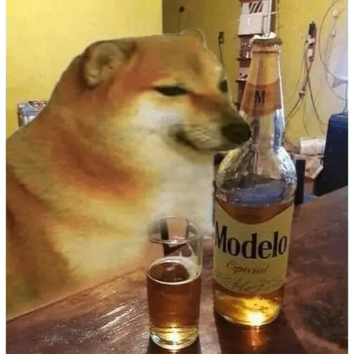 Memes pa la peda🍻🔑 1