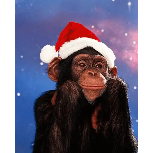 Monos navideños😜😙 11