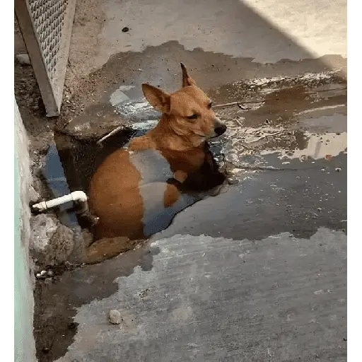 Calor 🥵🌡️ 2
