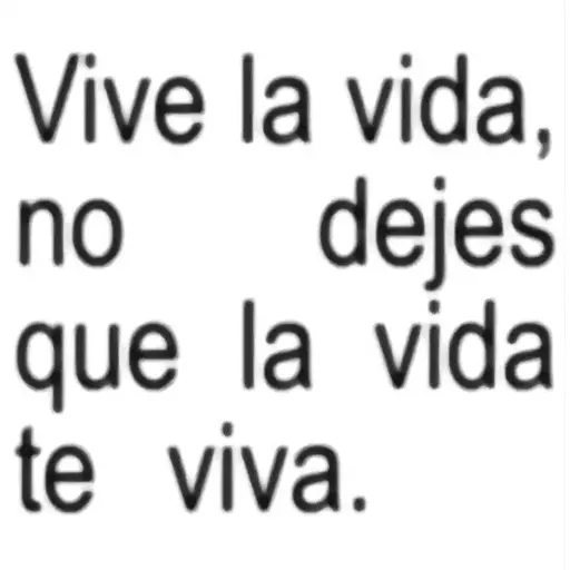 Frases Salvatore pal grupo🫂 2