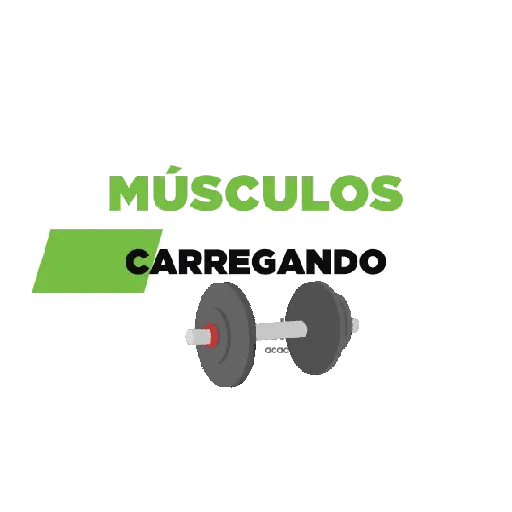 GYM TREINO ACADEMIA 14