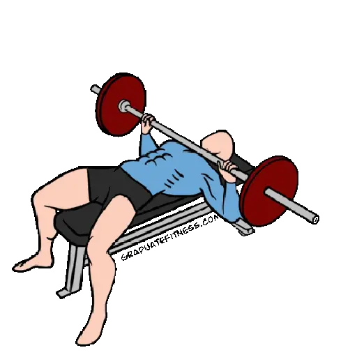 GYM TREINO ACADEMIA 4