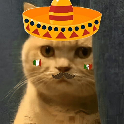 Mariachi Cats🤠😺✨ 5