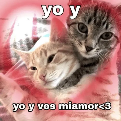 😏 PARA LIGAR 😏 2
