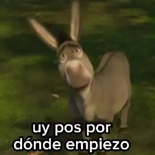 Burro 🫏 (Shrek) 13