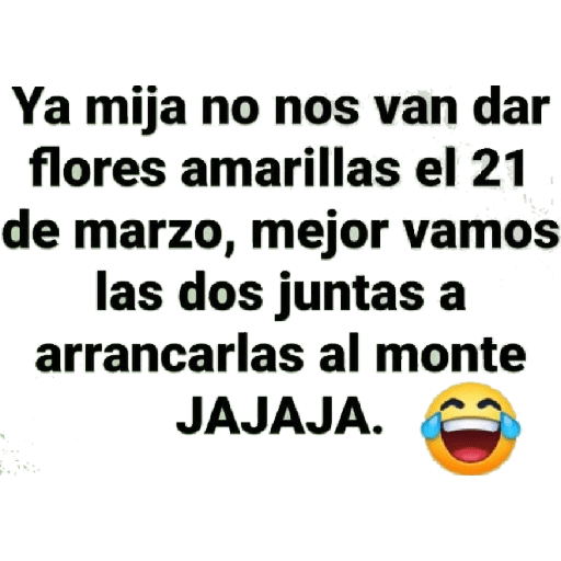 Flores Amarillas🌻ramos 13