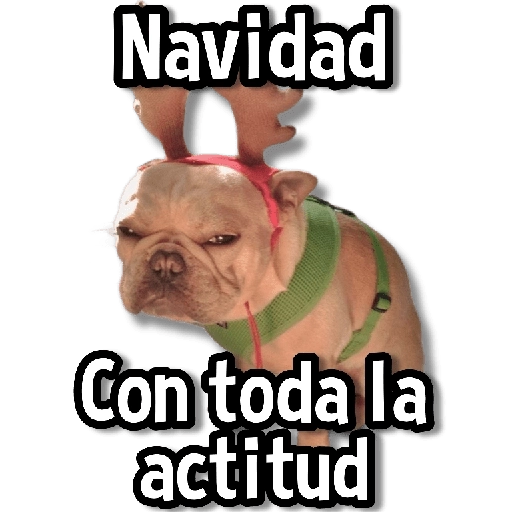 Navidad C Con toda la actitud