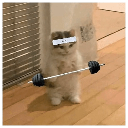Gym 💪 1