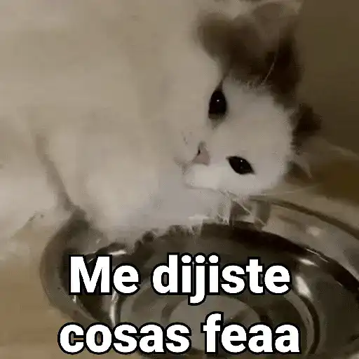 Me dijiste cosas feaa