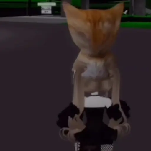 🐱 Gato Roblox 💫baile 😹💫 3