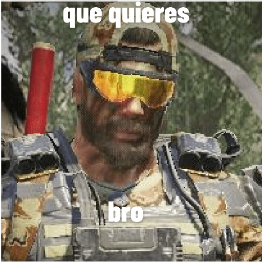 call Of Duty Mobile memes 24