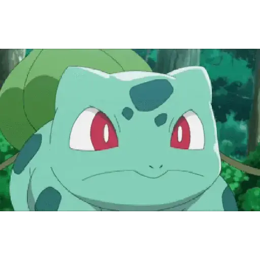 Pokemon 17