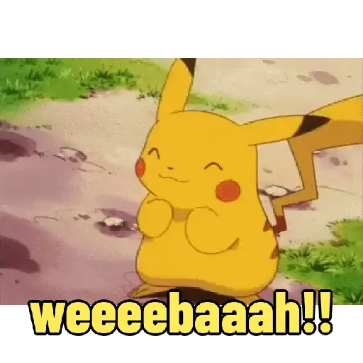 Pokemon 8