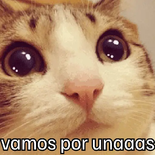 Pa la peda 😎 12