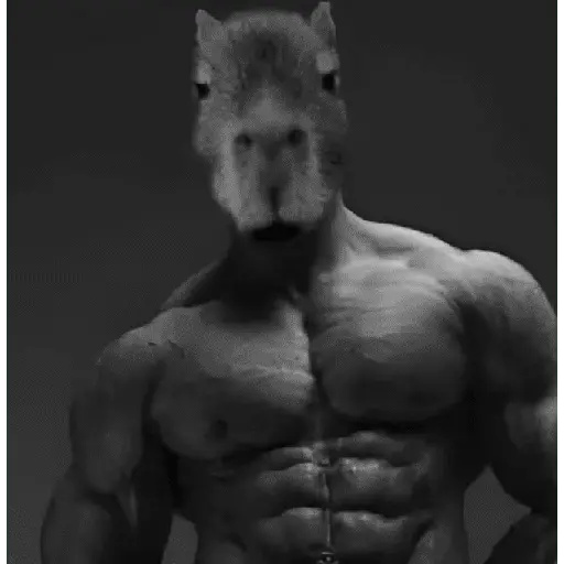 Capibara Random 🍉 22
