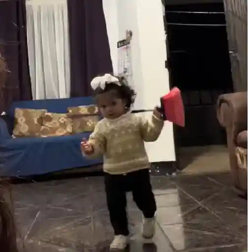 Virales de tiktok 📲 1