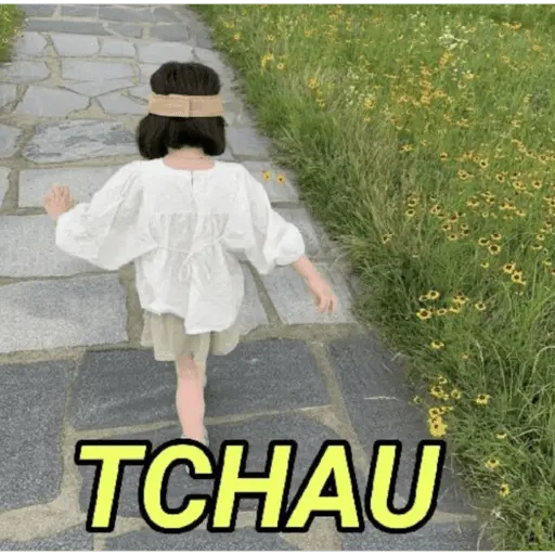 MEMES PRA VOCÊ USAR 14