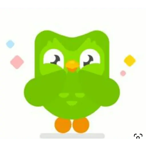 duolingo pack 2 8