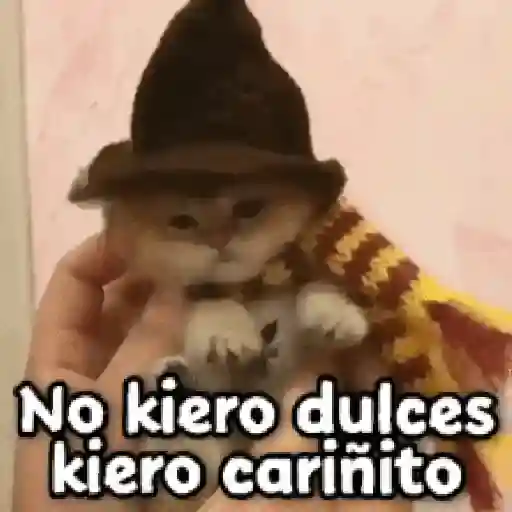 🎃 Halloween Pets 🎃 21