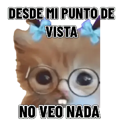 Memes clásicos gatito 😺🔥 3