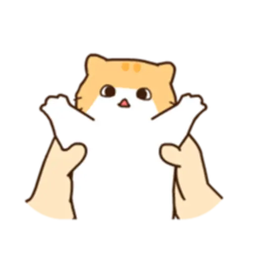 Hi, hoho Hodo 9