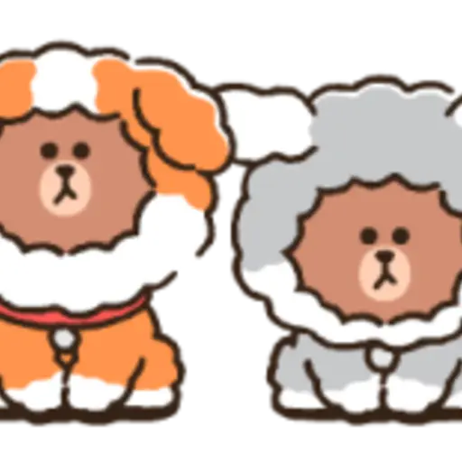 PUPPY BROWN 10