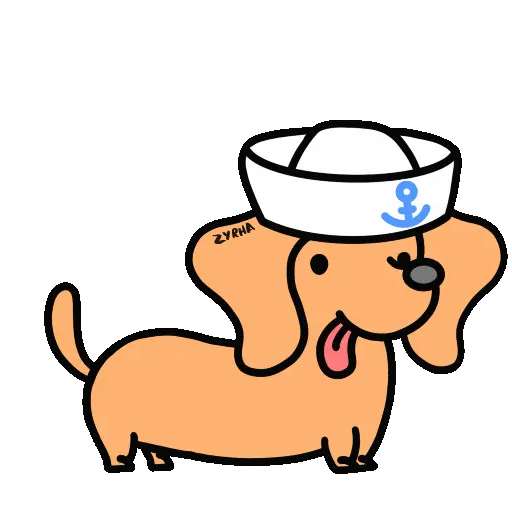 Perro Bachicha 15