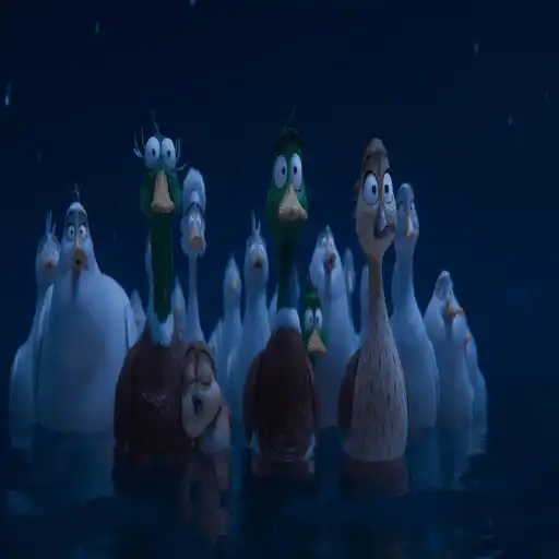 Migration 🦆💕Mov 8