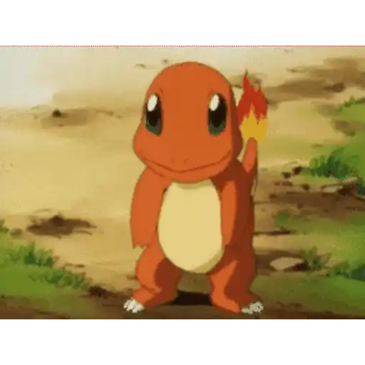Charmander #4 29
