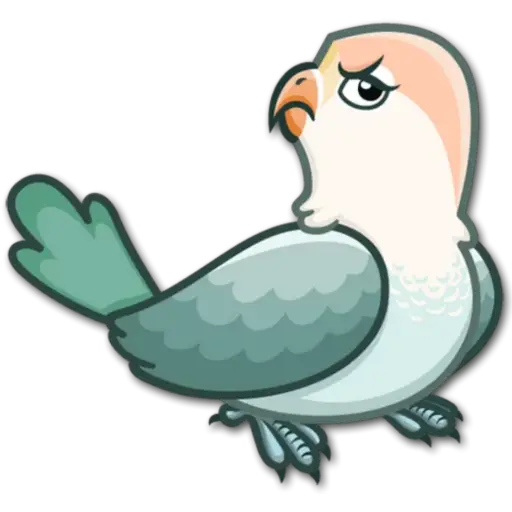 🐦Pajaros Lindos🐦  7