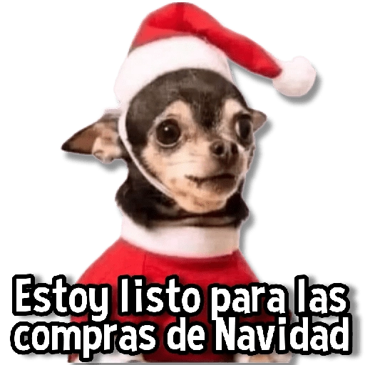 Estoy listo para las compras de Navidad