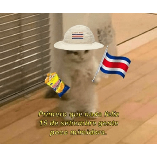 Mera de memes de costa rica 5