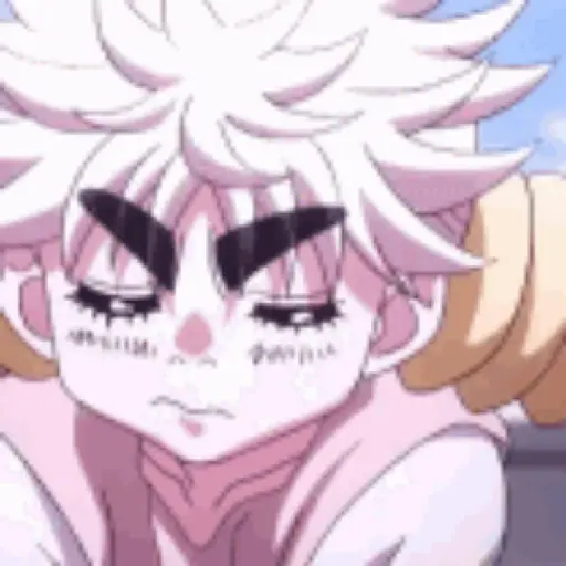 hunter x hunter 6