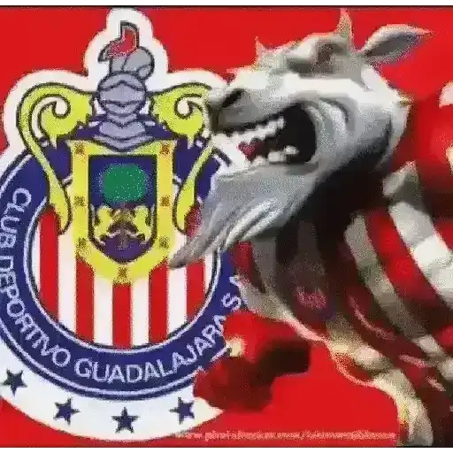 CHIVAS GUADALAJARA 1