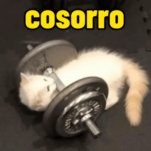 cosorro