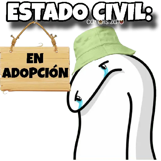 ESTADO CIVIL: EN ADOPCIÓN carols.zdio