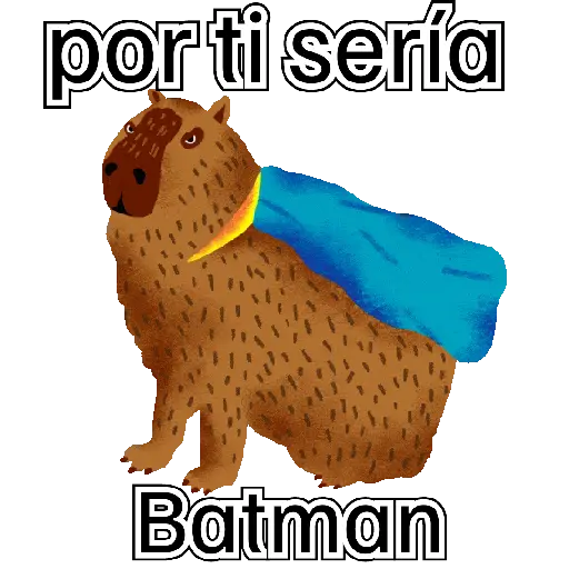 capibara cute 😎 15