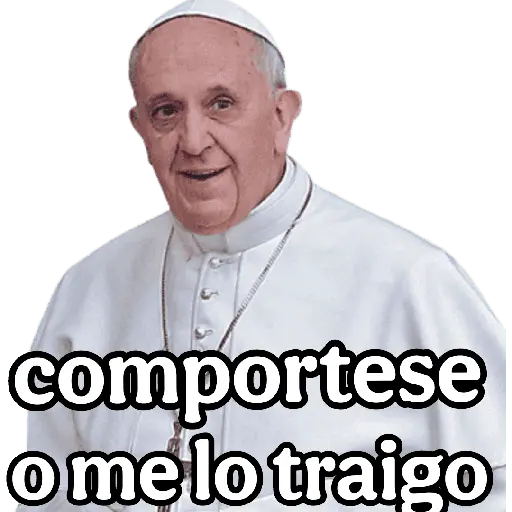 papa Francisco 😎 21