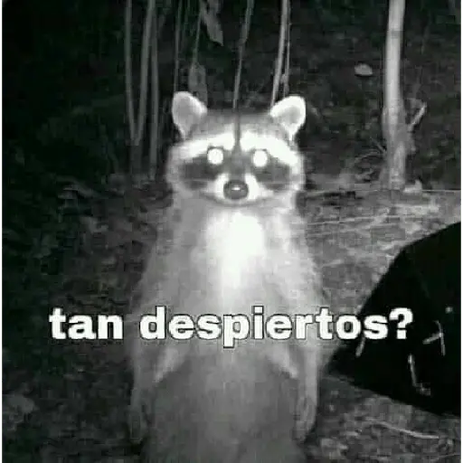 soy admin 29