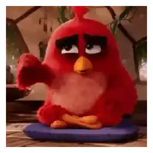 Meme Angry birds 💢😅 15