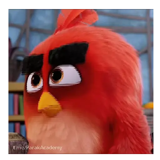 Meme Angry birds 💢😅 11