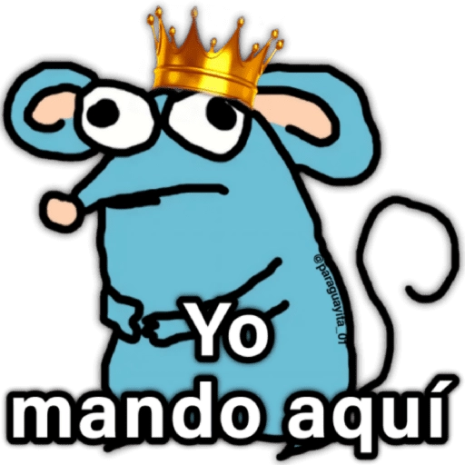 🐭 Pedacito de Queso 🧀 12