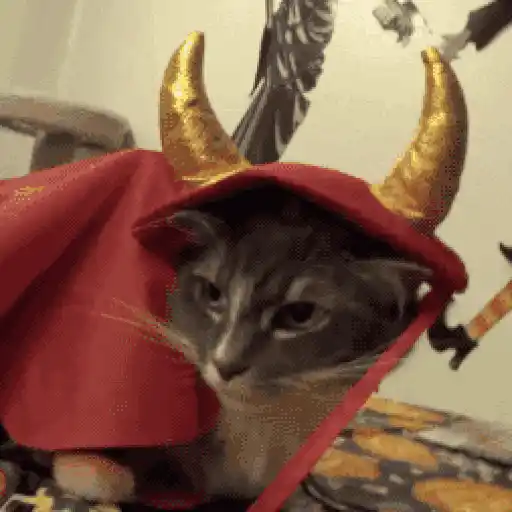 🎃 Halloween Pets 🎃 13