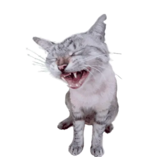 tray-icon