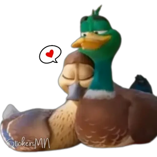 Migration 🦆💕 11