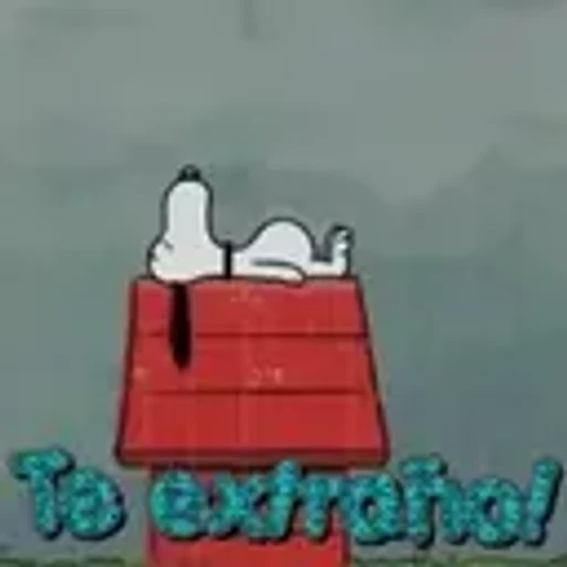 To extraño!